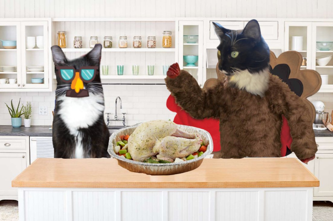 XanawuCats's tweet photo. @TwoTabbyTails heri here.. hemlo chassie! we is #TalkingTurkey about #Thanksgiving noms! does mew brine? does mew baste? does mew eats out? we is all sharings tips an tricks an makings ourselfs really hongry!๐ธ๐ #chilltent https://t.co/pjik4PLqRx