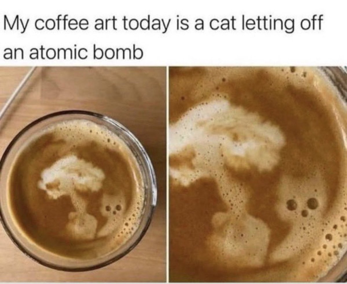 my cat ended up here (@cursedkittycat) on Twitter photo 