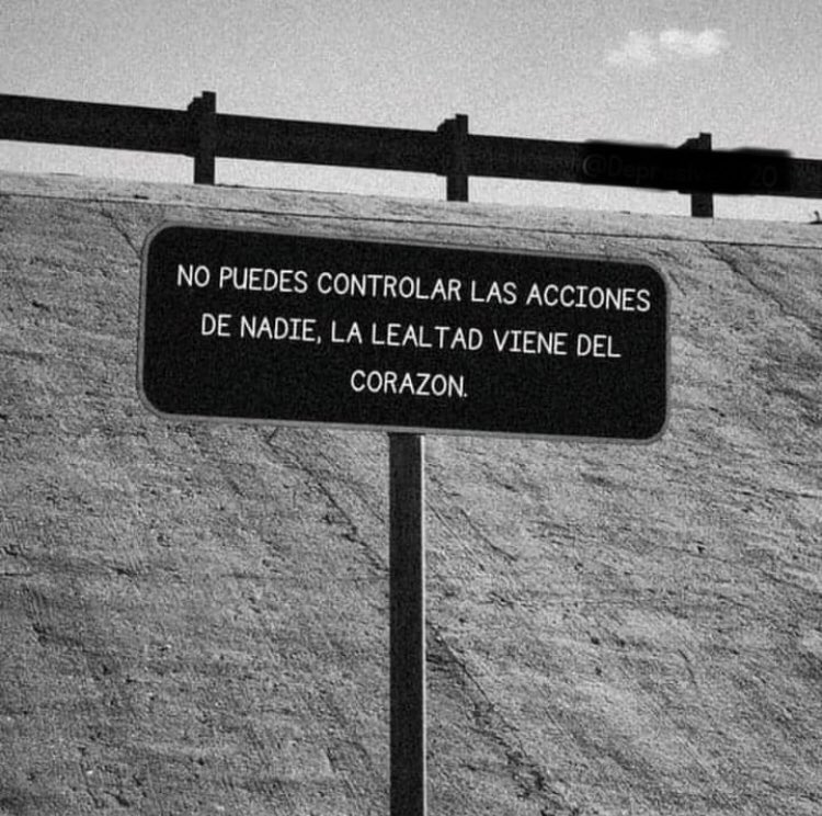 🌙 mini textos tweet media