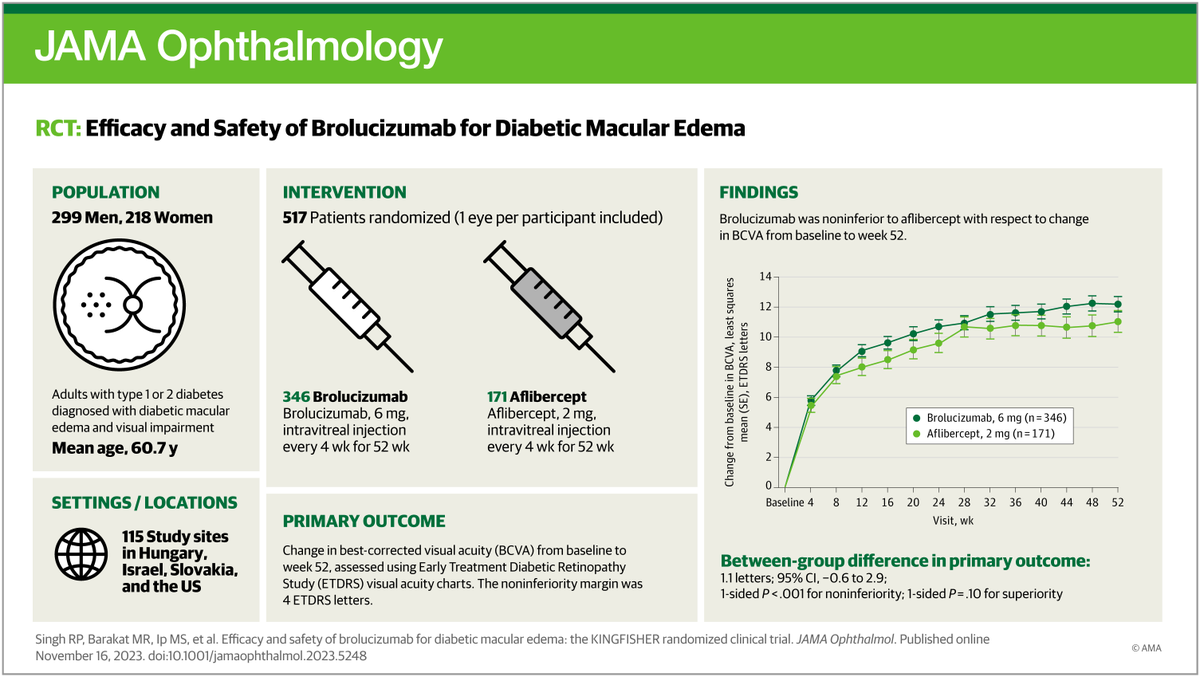 In study participants with diabetic macular edema, those in the brolucizumab arm had some superior anatomic improvements; no clinically meaningful differences in visual outcomes were noted between the brolucizumab and aflibercept arms. ja.ma/40Eb9ul