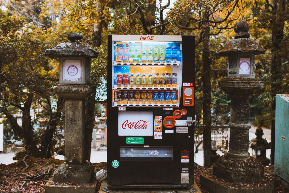 Dean Cook tweet media