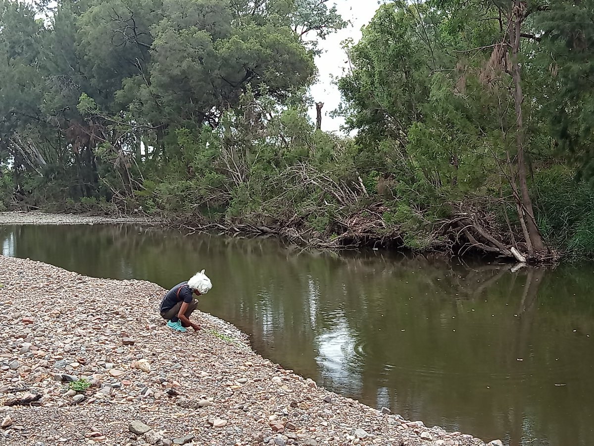 STATEMENT ON WATER BUY BACKS. My people are from the Gwydir and MacIntyre Rivers of northern NSW, the Gamilaraay and Wirriyaraay people of the blacksoils and grasslands, the mountains and the streams. We looked after and protected the creeks, the springs and the underground (1)