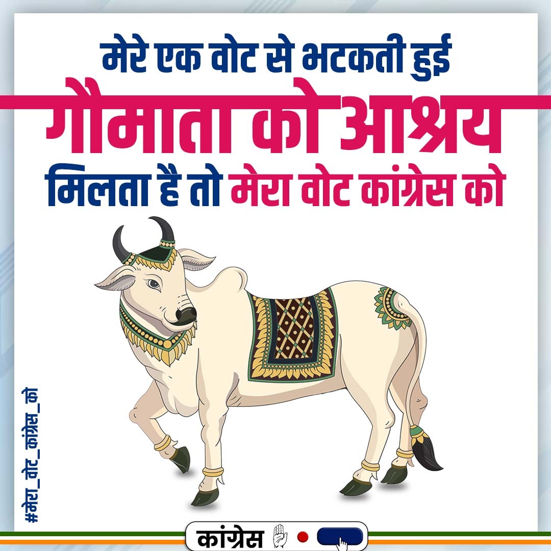 INCMP's tweet photo. आपके एक वोट से भटकती हुई गौमाता को आश्रय मिलेगा। 

"बढ़ाइये हाथ, फिर कमलनाथ"

#मेरा_वोट_कांग्रेस_को https://t.co/0tgwRst6R3