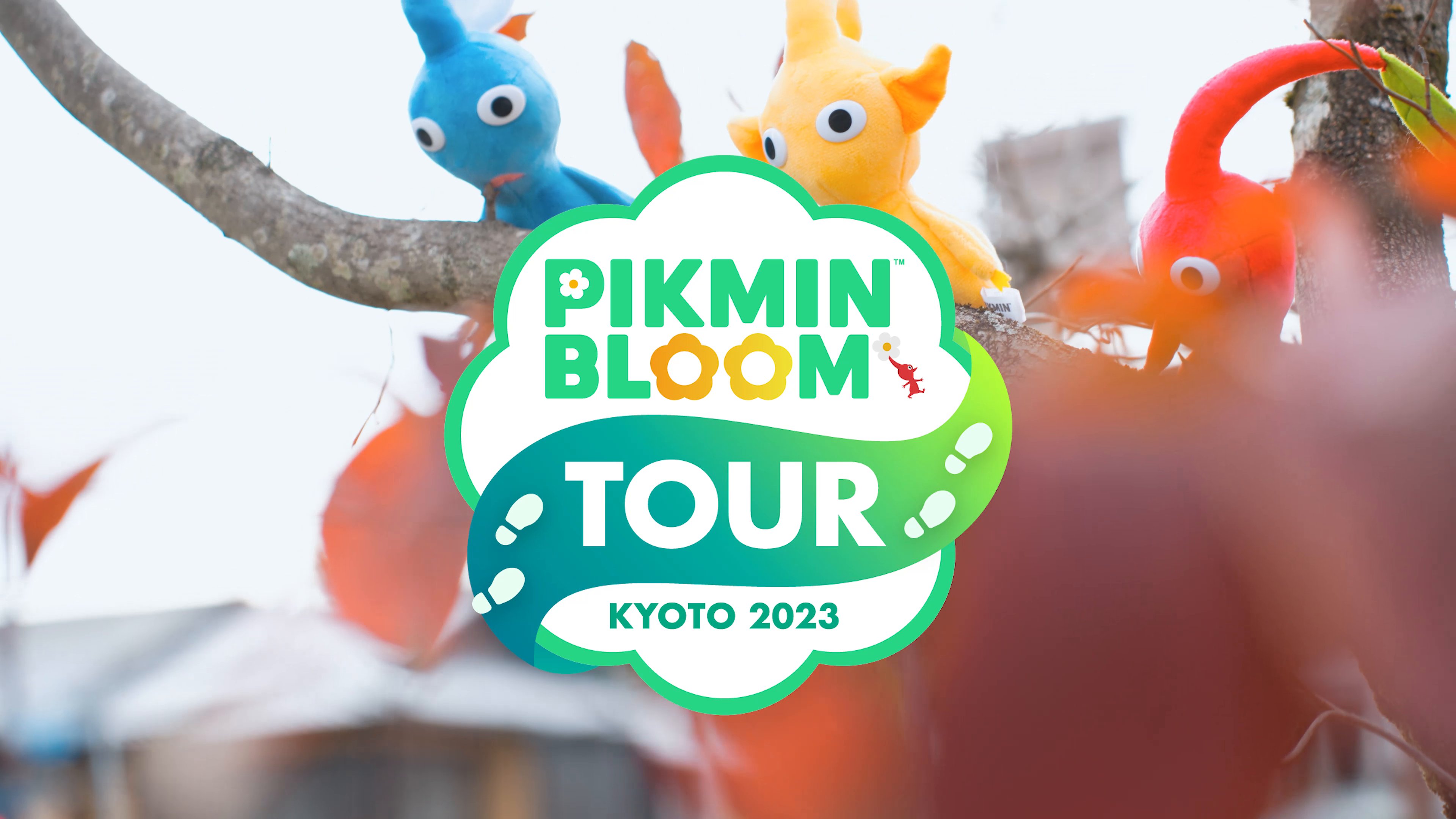 Pikmin Bloom Japan │ ピクミンブルーム on X: 