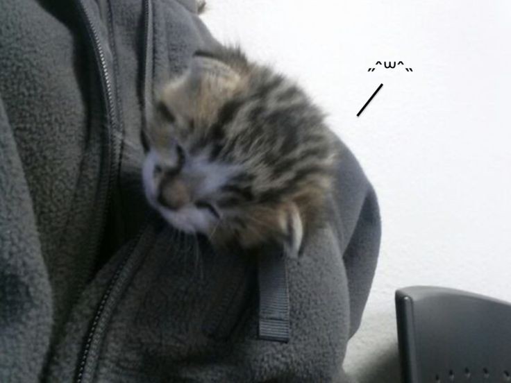 riko at this very moment;