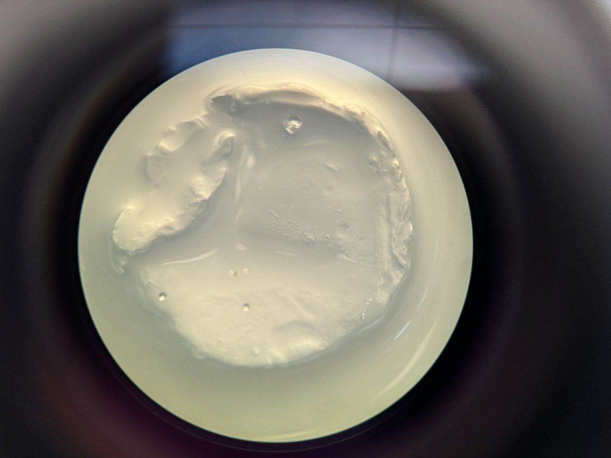 MrArsenie's tweet photo. Day 2 on #ReproSTEM with Dr. @mmlaronda @LurieChildrens yesterday was beyond insane! Being back in the lab, working with testicular tissue, seeding cells to build and manipulate organoids to learn about eventual IV sperm production..beyond awesome. @network14cps @CarlSchurzHS https://t.co/XQV5D2XrW0