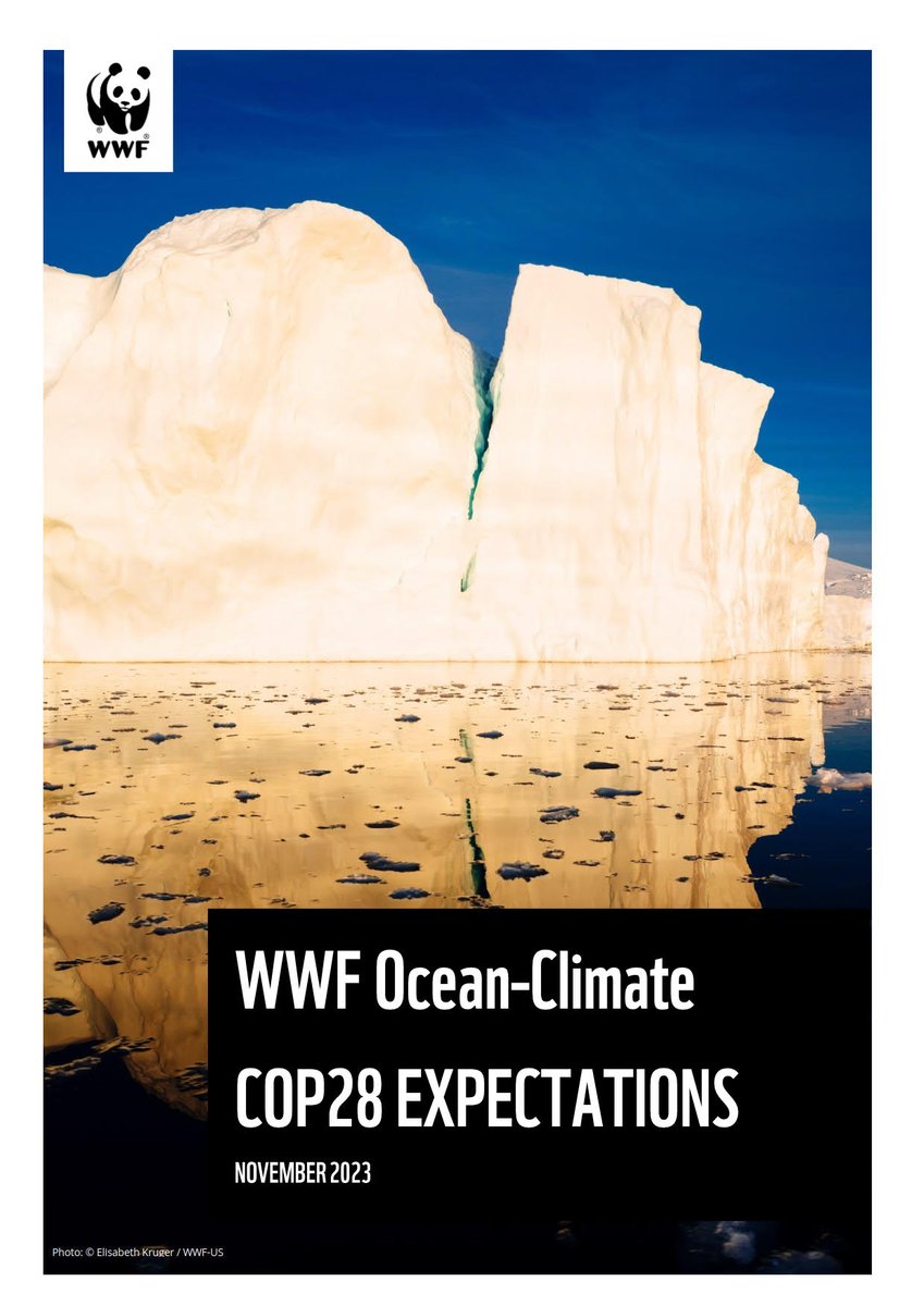Climate change is pushing ecosystems and communities to their limits. At #COP28 <a href="/WWF/">WWF</a> and partners will push for action to accelerate the shift away from fossil fuels and elevate #ocean-climate solutions.
Read &amp; RT our ocean-climate expectations paper. 👉wwfint.awsassets.panda.org/downloads/wwf-…