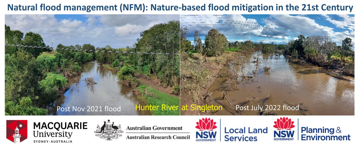 Very excited with award of a @arc_gov_au Linkage grant to study #NaturalFloodManagement #NFM & nature-based flood mitigation solutions with 6 PIs from @llsnsw & @NSWDPE & our @Macquarie_Uni team @hydro_lucy & @timjralph. Awarded around $1.2m for 4 years. @mqnatsci @MQSciEng