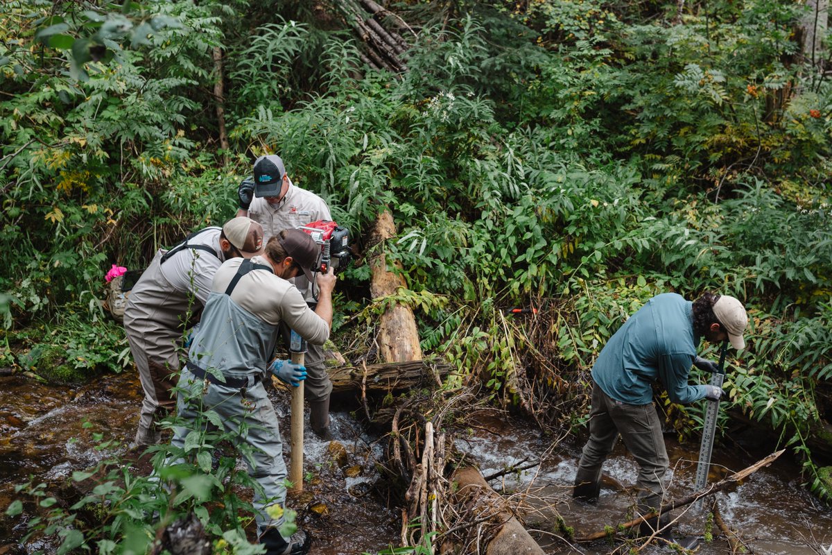 Utah's Watershed Restoration Initiative (<a href="/UtahWRI/">Utah's Watershed Restoration Initiative (WRI)</a>)  — our partner-based program focused on improving high-priority watersheds &amp; habitats — restored 148,883 acres across #Utah last fiscal year! Learn more in the <a href="/UtahDWR/">UtahDWR</a> story here: bit.ly/3G2995E