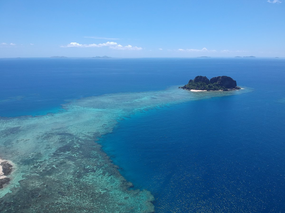 VomoFiji's tweet image. Dive in.