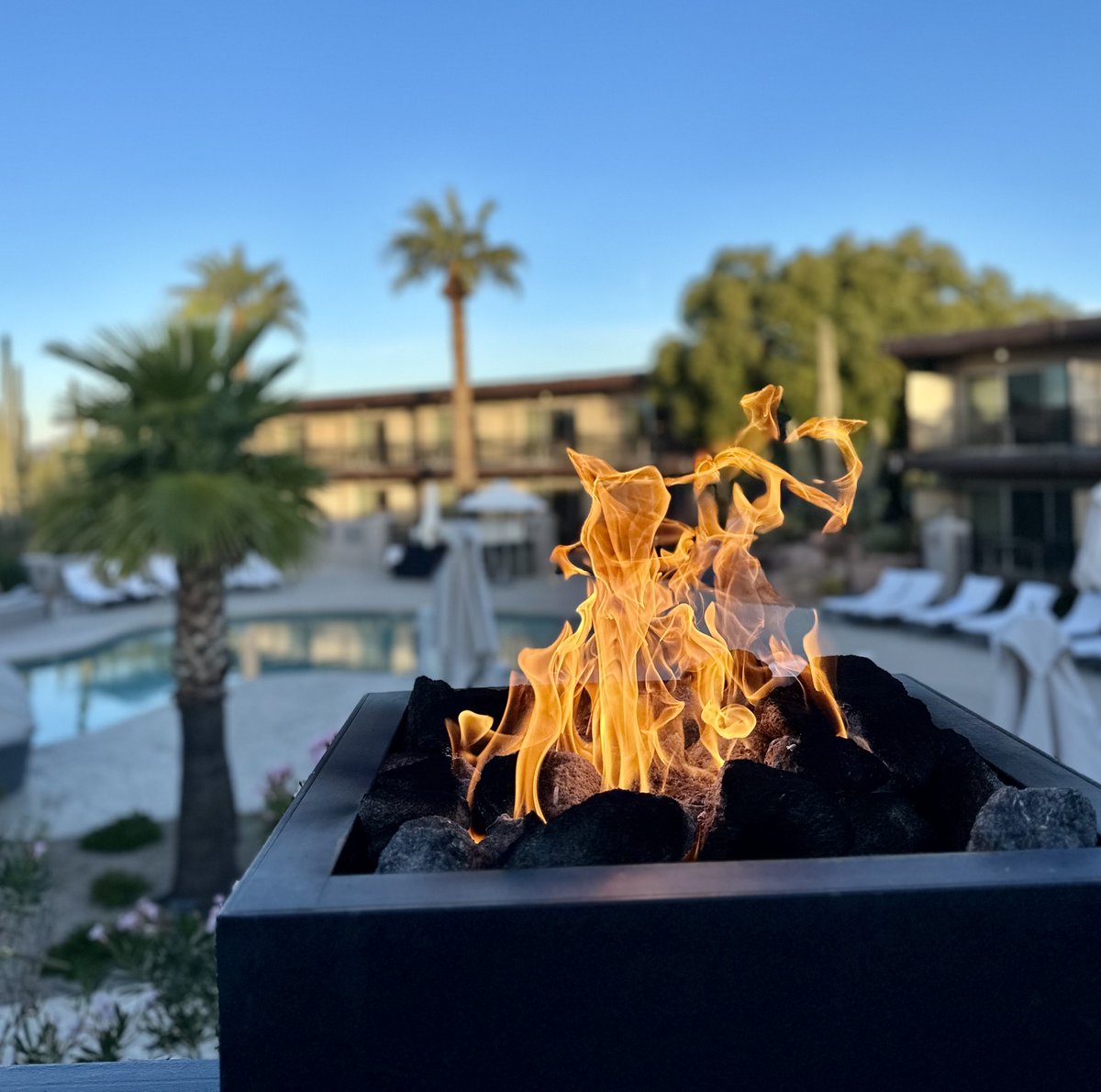 Hunter PR tweet media