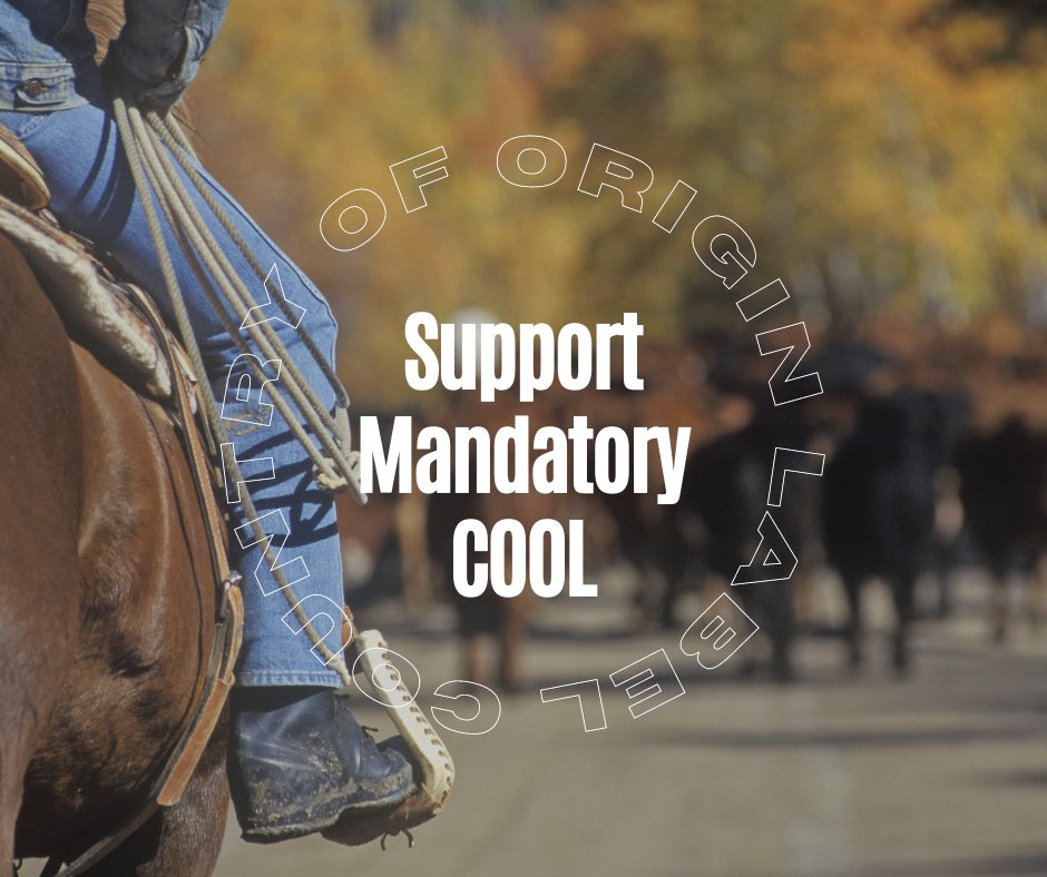 PRBResCouncil's tweet photo. It's great to see the momentum behind country-of-origin-labeling (COOL) in Congress. @worcaction breaks down the bills &amp; explains which are best for independent ranchers https://t.co/eoWv7chmhH #meatlabeling #wheredoesyourfoodcomefrom #ranching #USAbeef https://t.co/tI6zSDnnbu