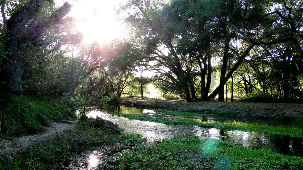 modernhiker's tweet photo. Be sure to check out some of our favorite San Diego area hikes for good outdoor ideas: https://t.co/J7vrckopEg https://t.co/6y6mTgWgPM