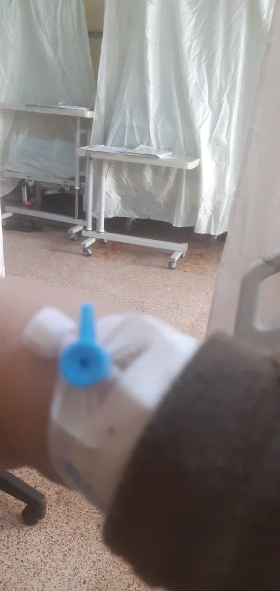 حفيدة ال الصدر tweet media