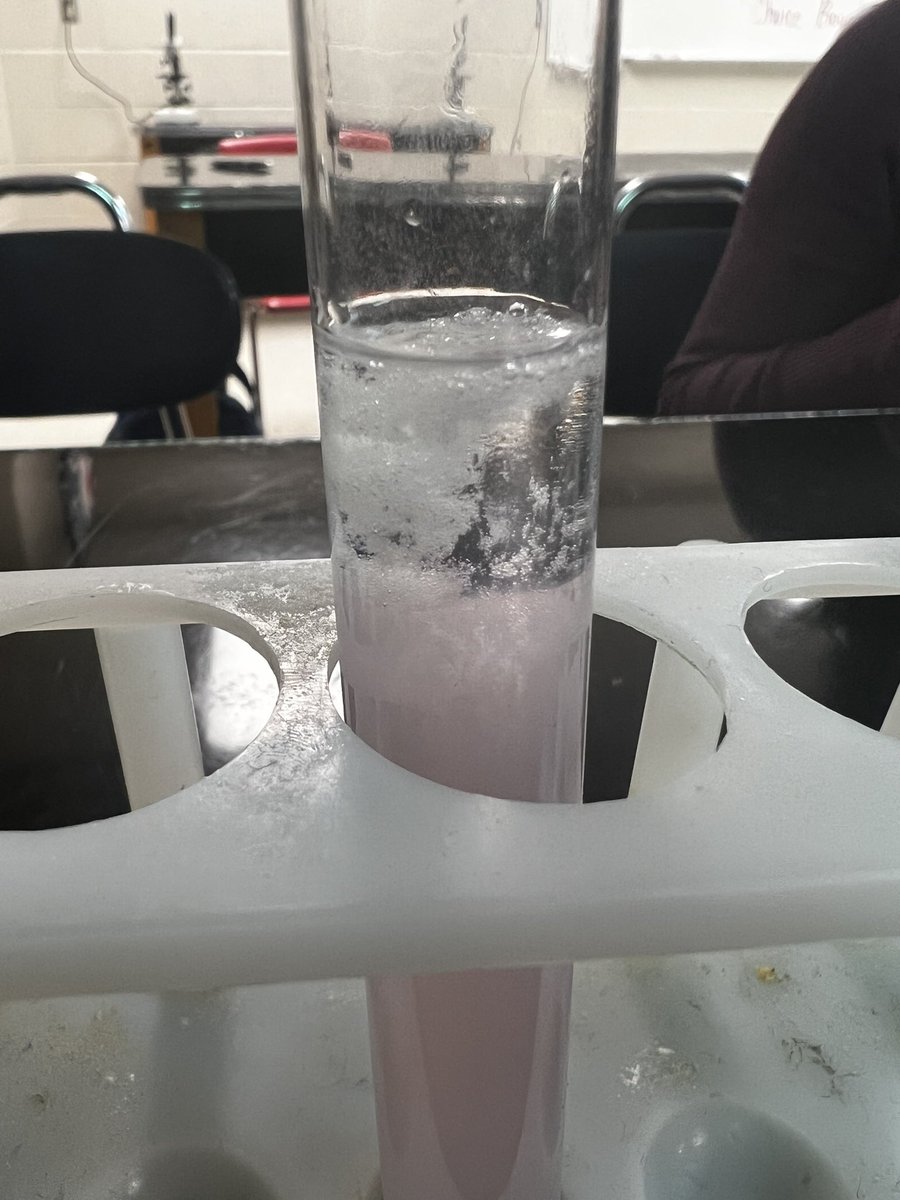 OHSBio_Cole's tweet photo. In Biology today students extracted DNA from a strawberry 🧬🍓 https://t.co/LbKO7effz0