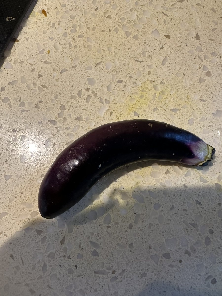 abbyvrob's tweet photo. The 11yo brought an eggplant plant home from @UMDEntomology bug camp this summer and look at what grew! 😍 🍆 ✨ https://t.co/meLL1kHphp