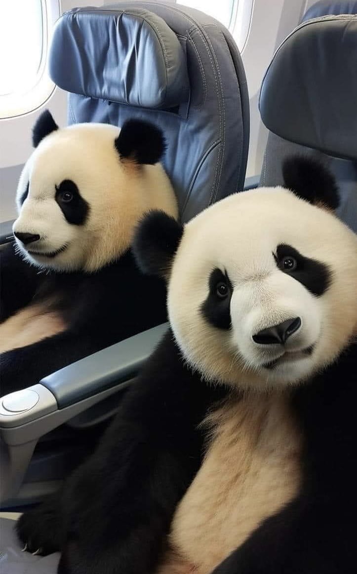 Өглөөний мэнд 
Ойрхоон явчаад ирийдаа