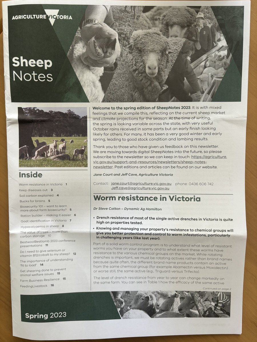 Georgina Gubbins tweet media