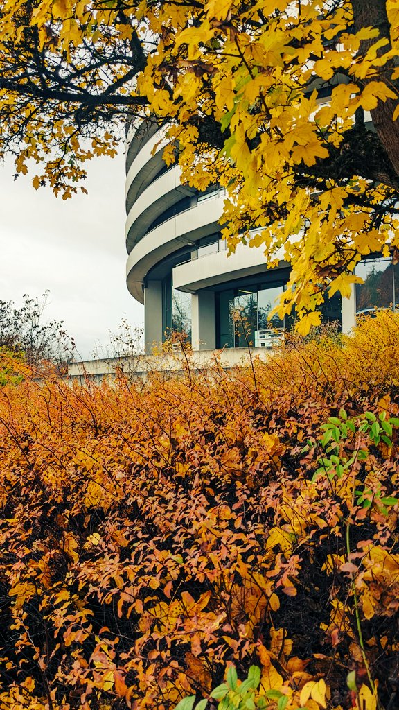 Nivedita Mukherjee tweet media