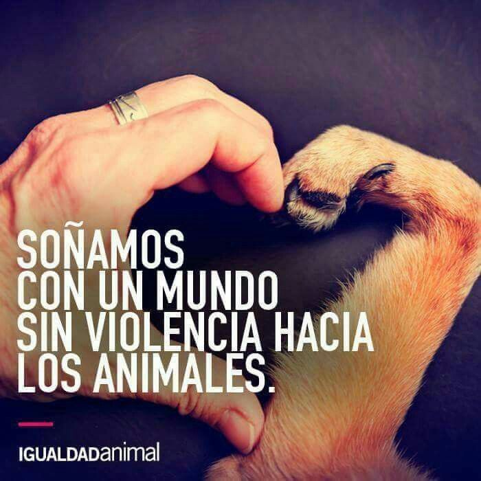 CUIDA LOS ANIMALES 
AMA LOS ANIMALES