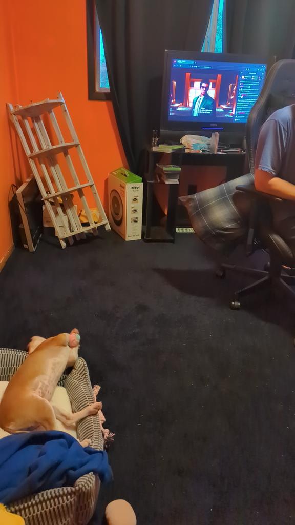 DuskyPhoenix's tweet photo. @TinaNarvaezJr Spirit has too many thoughts... But loves watching Ray! https://t.co/YUGpRXadot
