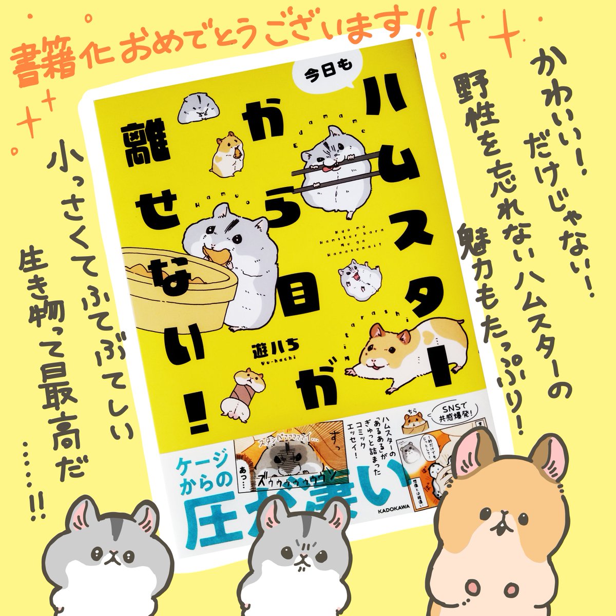 遊ハち先生(@yuhachi_hamster )の『今日もハムスターから目が離せない!』をご恵贈いただきました!
小さくてかわいいだけじゃない、噛むし動きは速いし圧が強い…だけどそこがかわいい!ハムスター愛の詰まった一冊でした🐹

書籍はこちら→https://t.co/FO6LqgATp3 