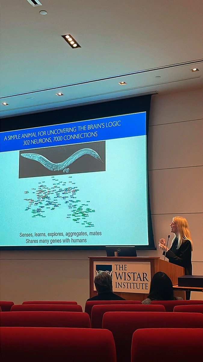Helen Dean King Award to Dr. Cori Bargmann
Amazing work on exploring the genetic and neural circuit mechanisms of behavior in pursuit of understanding how genes influence decisions in C. elegans.
Very inspiring! 
#womeninSTEM