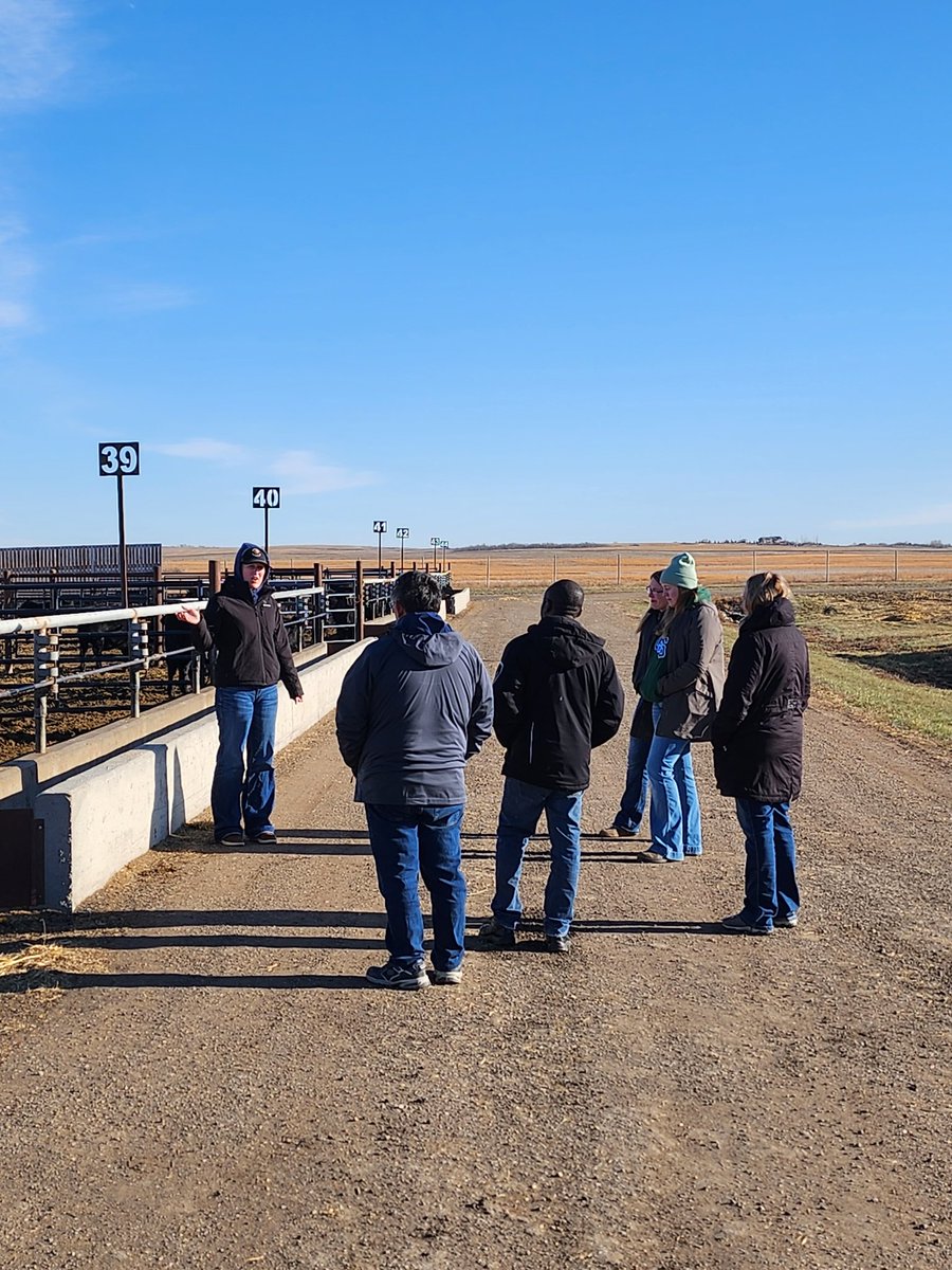DrBart_Beef's tweet photo. Great tour and conversations with #AAFC #USDAARS researchers @BrookeaTindal @cabritanchak @ShelbyRobinson_ #AppliedBeefResearch https://t.co/mRnF1MNh1O