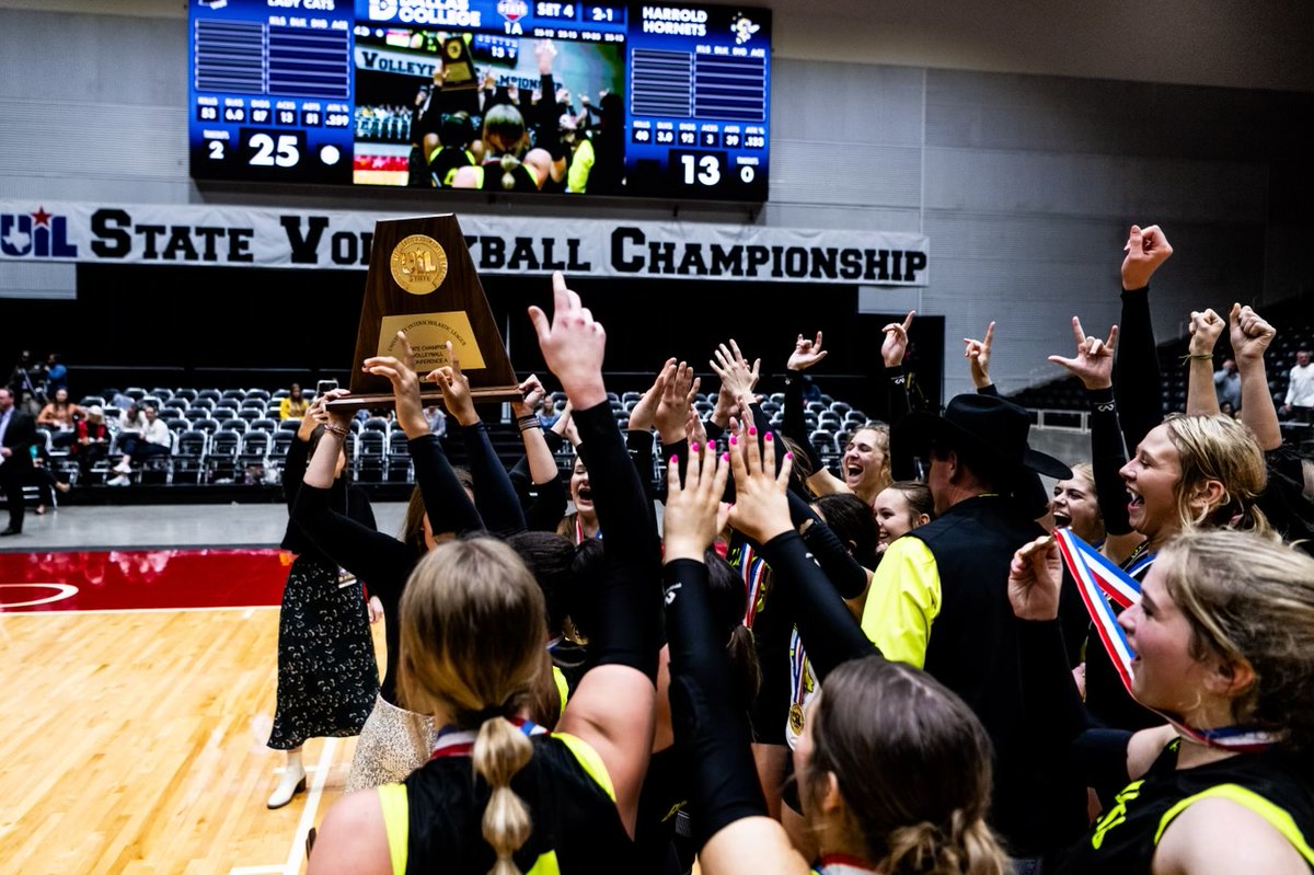 Brian Gosset tweet media