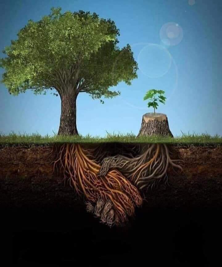 Өглөөний мэнд. Амжилт хүсье