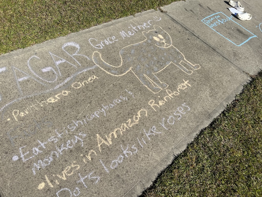 DenisecWright's tweet image. A3) Some creative ways I have used movies in the classroom is when launching rockets #OctoberSky is inspirational/ sets the tone, When teaching about #geologictime the movie #IceAge is always fun to talk about the environment and animal behavior. #EinsteinFellows23 @AEF_Program