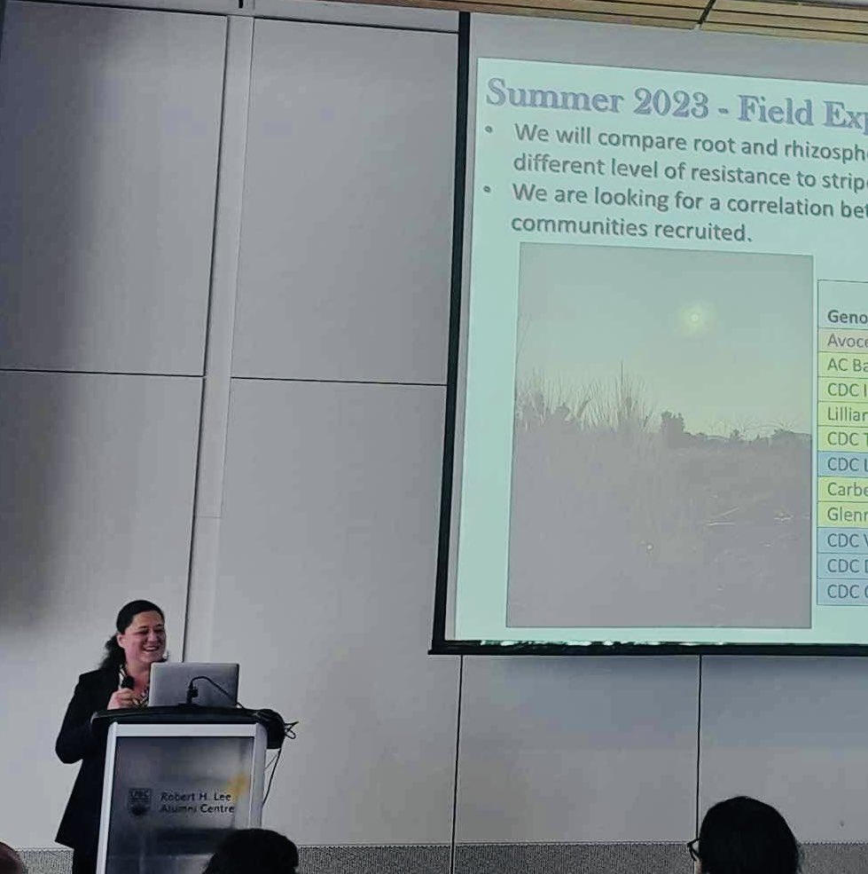 Happy to share our research with the Canadian Wheat Community at @CWS2023 . A collaboration between @Cara_Haney & @gurcharn_brar labs! 🌾🧫 We are studying the impact of domestication and host disease resistance on the wheat microbiome.