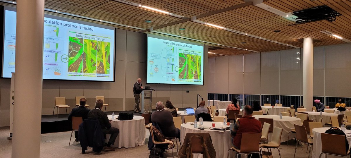 mehrdad (@striiformis) on Twitter photo At the closing panel of the <a href="/CWS2023/">5th Canadian Wheat Symposium 2023</a>, several presentations will discuss firsthand information about bacterial leaf streak of wheat. At the closing panel of the <a href="/CWS2023/">5th Canadian Wheat Symposium 2023</a>, several presentations will discuss firsthand information about bacterial leaf streak of wheat.