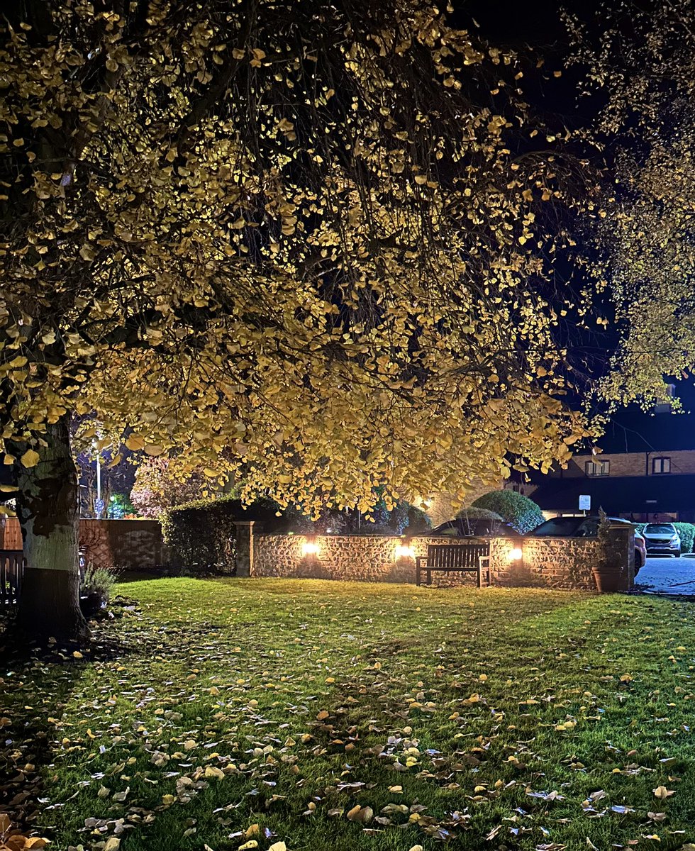 A_Alsubehi's tweet photo. On a late autumn night in Oxford, rain drapes the ancient spires in a mysterious, shadowy dance 🍂

16th November.. a day to remember https://t.co/uwCzbO8rce