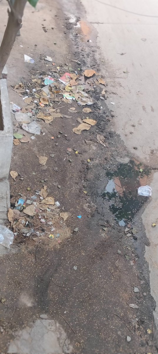 Hassan Reddy tweet media