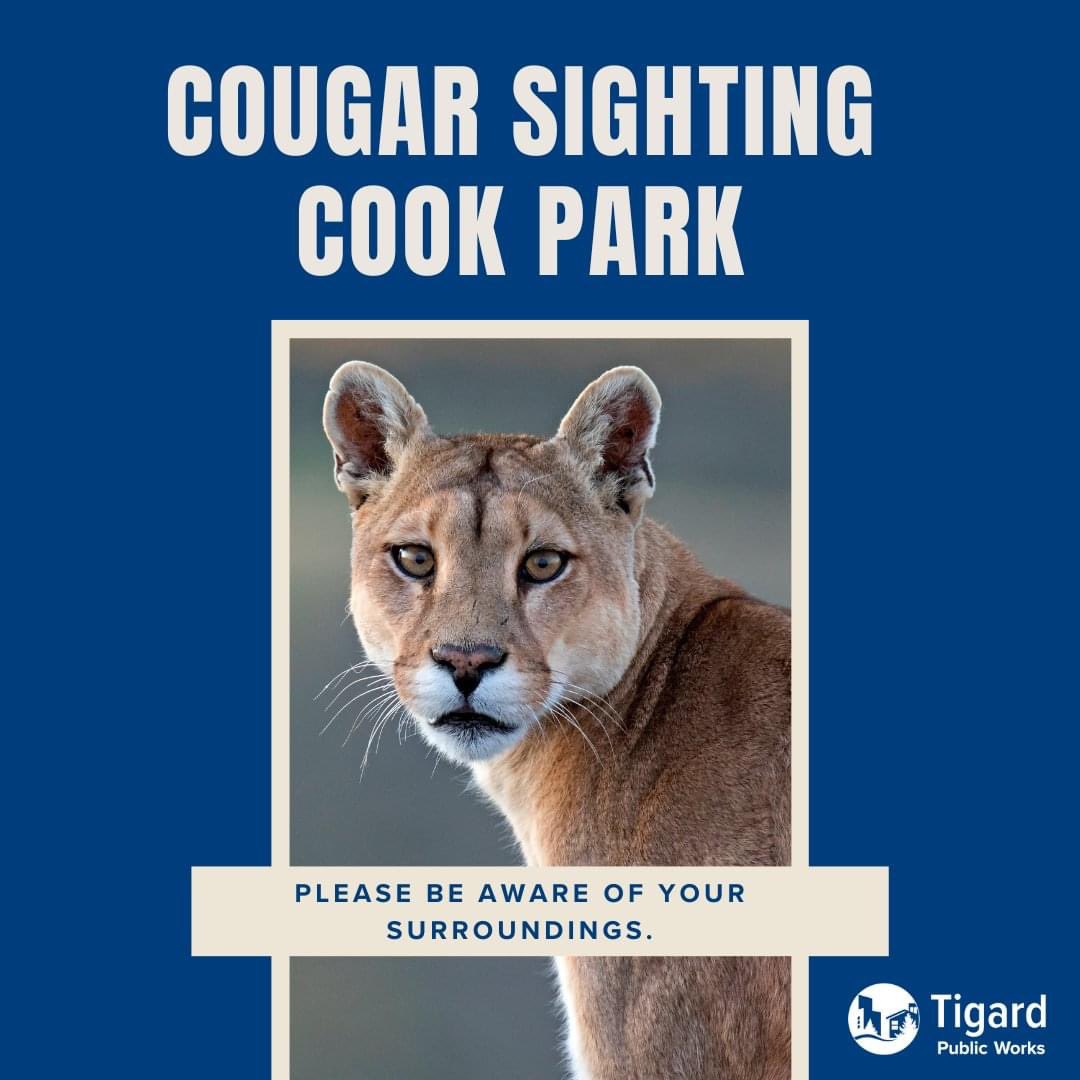 There has been a cougar sighting at Cook Park. We have alerted the Oregon Department of of Fish and Wildlife and the Tigard Police Department. Please make sure to be aware of your surroundings and leash up your dogs. 
Here is a helpful guide: dfw.state.or.us/wildlife/livin… 

#TigardOr