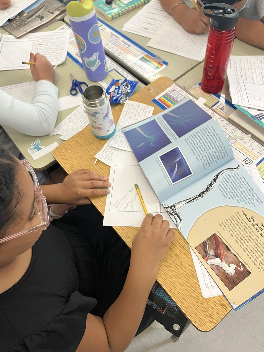 Hannah Moses tweet media