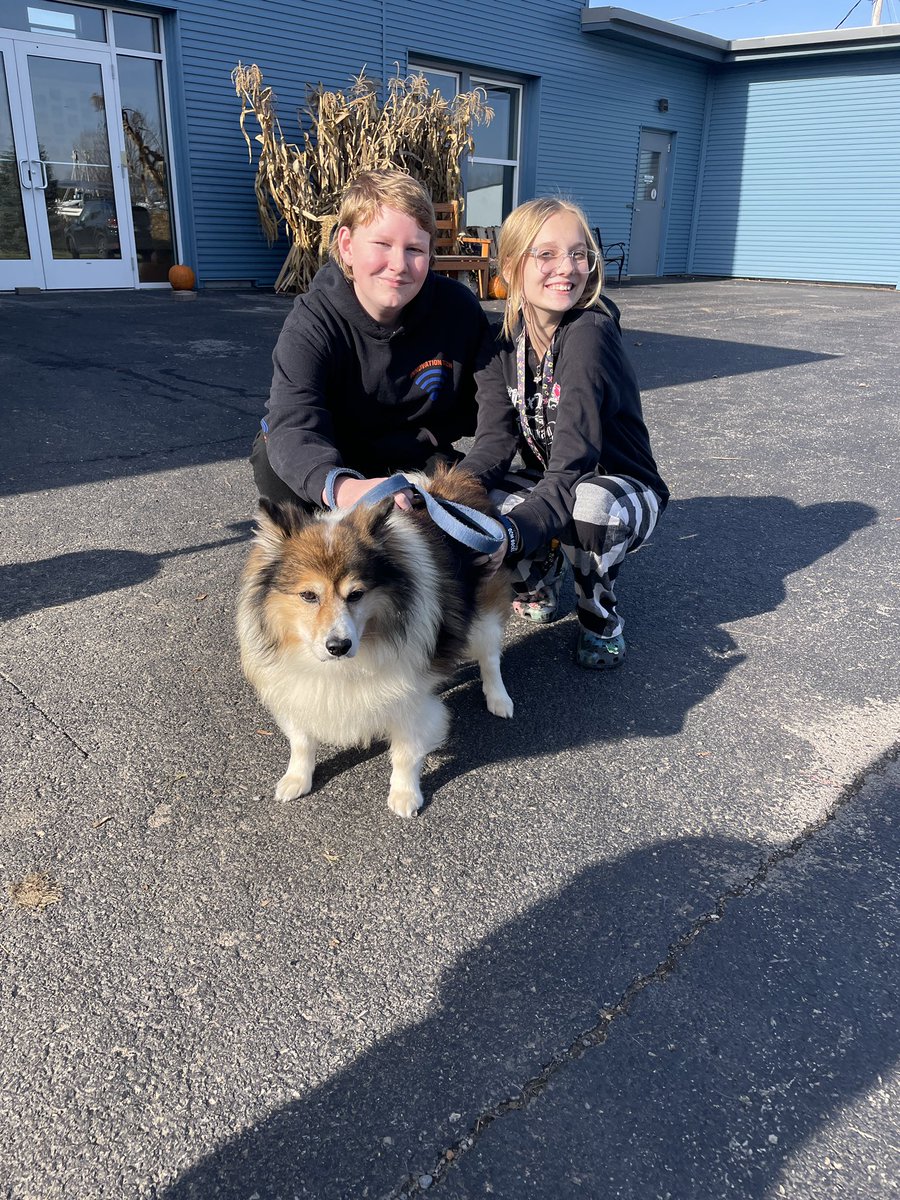 MFitzTeach's tweet image. It’s always a good day when you get to play with dogs! Today I took some of my #ToolsforChange students to Helping Hounds as part of our service learning project. Students learned about the rescue, walked some dogs, and helped socialize some puppies. What a great day! #ilovemyjob