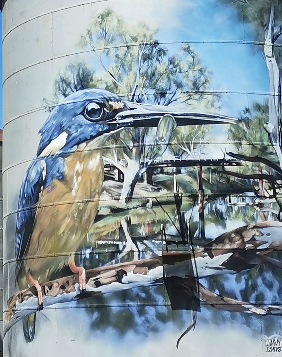 Happy Friday to all my followers and welcome to all my new followers. Many silos are painted with rural scenes and I thought you'd like this one. Thanks for your support and kindness. Have a good weekend too. 🐦❤️
#FridayVibes #FridayFeeling #WeekendVibes