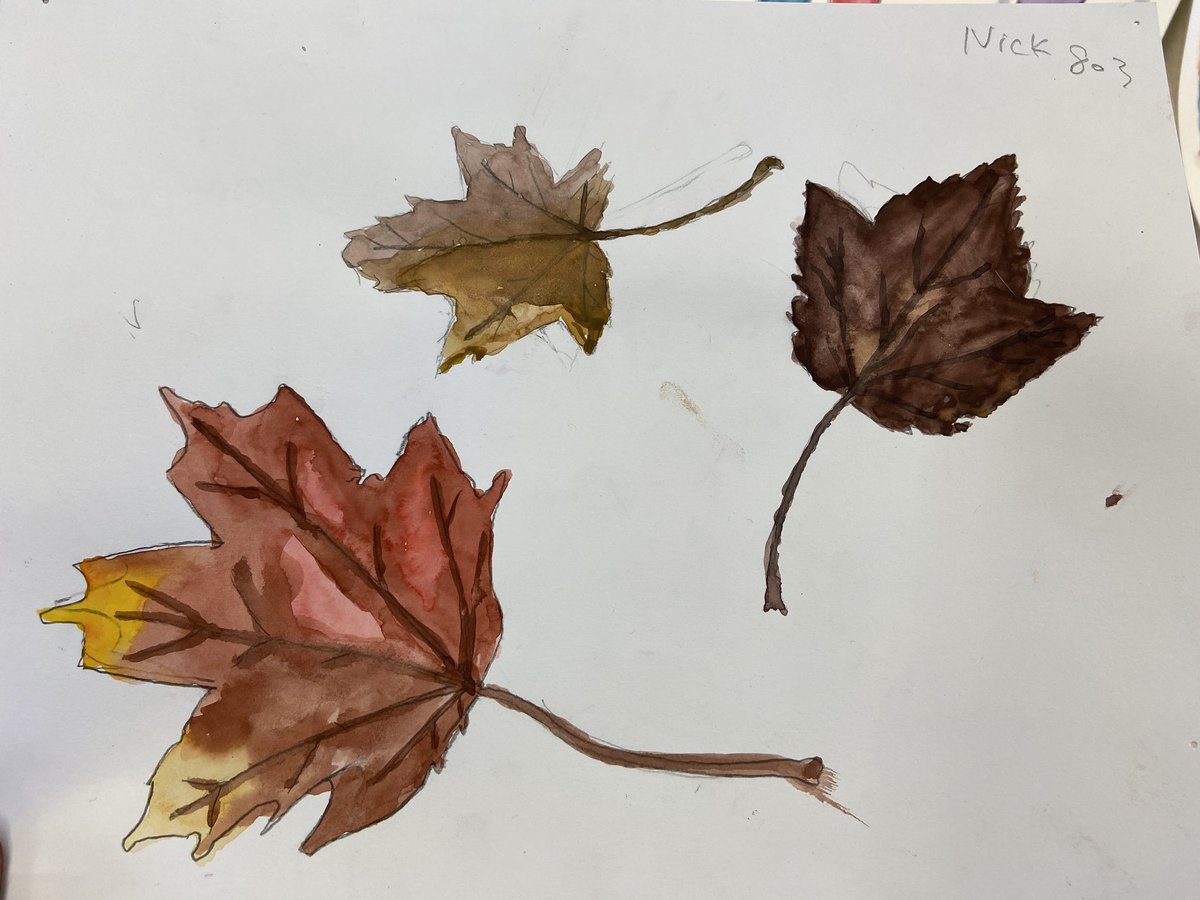 Recent watercolor practice by G8s