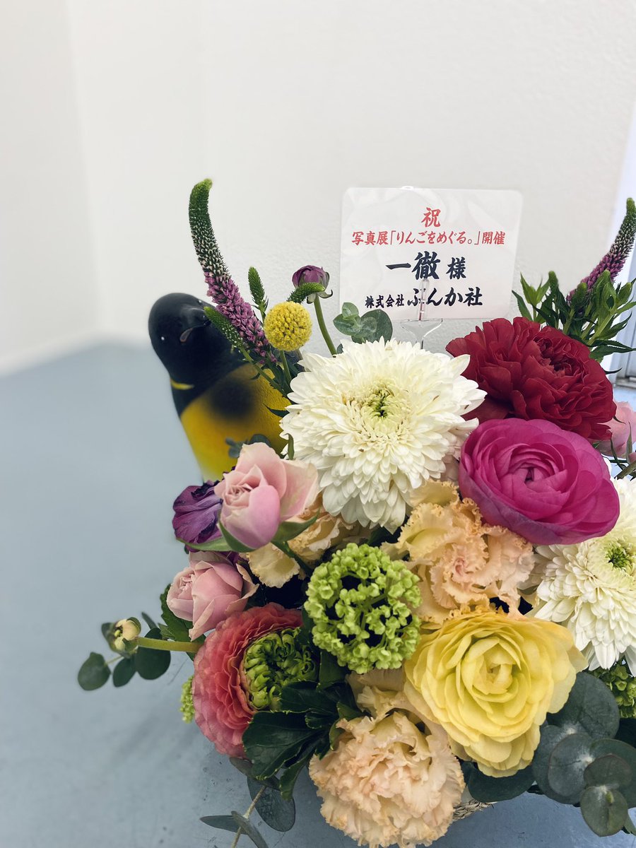 ⭐れいちゃん⭐️ (@Reichan1121) / Posts / X