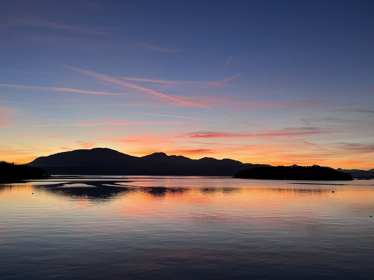 HappySAHD tweet media