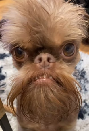 my face when shorty tell me to eat that coochy but i want to wear balenciaga instead https://t.co/TW<a href="/tag/happyhalloween"class="tags"><span>#happyhalloween</span></a>