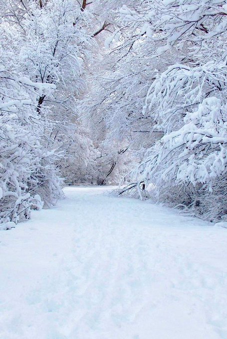 dht_1350dffghb's tweet photo. " New snow again in mid Sweden " https://t.co/erPb6aJAoM