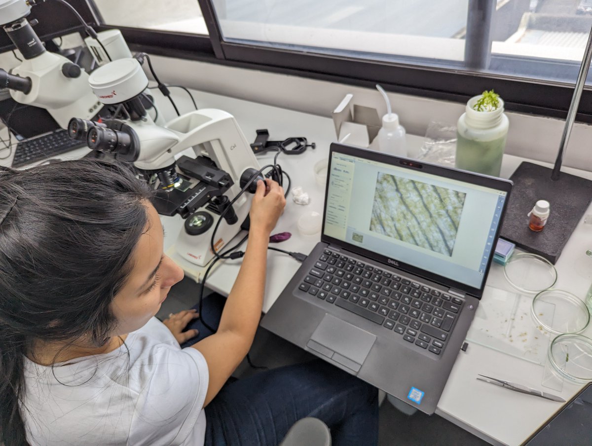 LabsLandEs's tweet photo. Además, hemos podido trabajar con el grupo de investigación de laboratorios remotos de la @UNEDCostaRica liderado por Dr. Carlos Arguedas y además planificar los próximos laboratorios remotos que estamos construyendo juntos. https://t.co/5ZallV4vXu