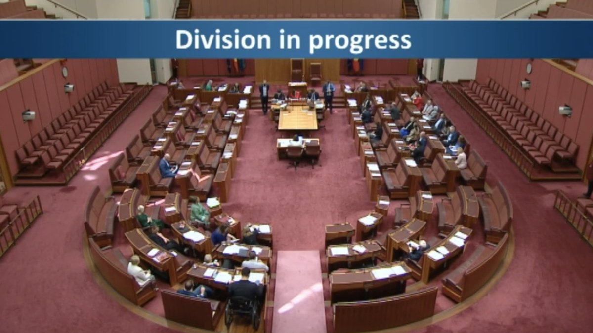 Labor teamed up with the Liberals to vote down the Greens amendment which would have increased the Disability Support Pension to above $88 a day. Labor's Disability Services and Inclusion Bill could be transformational for people with disability. Instead, it fails.