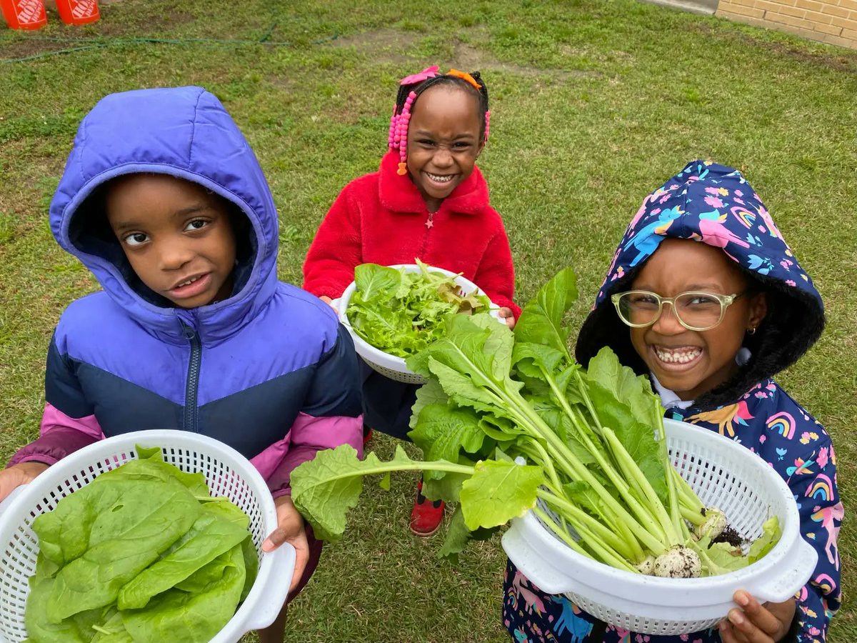 LoopItUpSavannah! tweet media