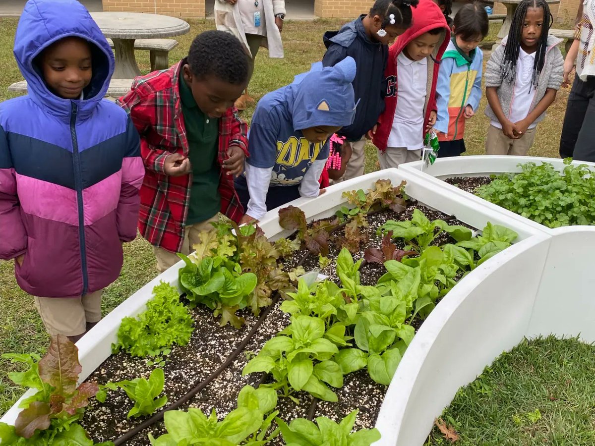 LoopItUpSavannah! tweet media