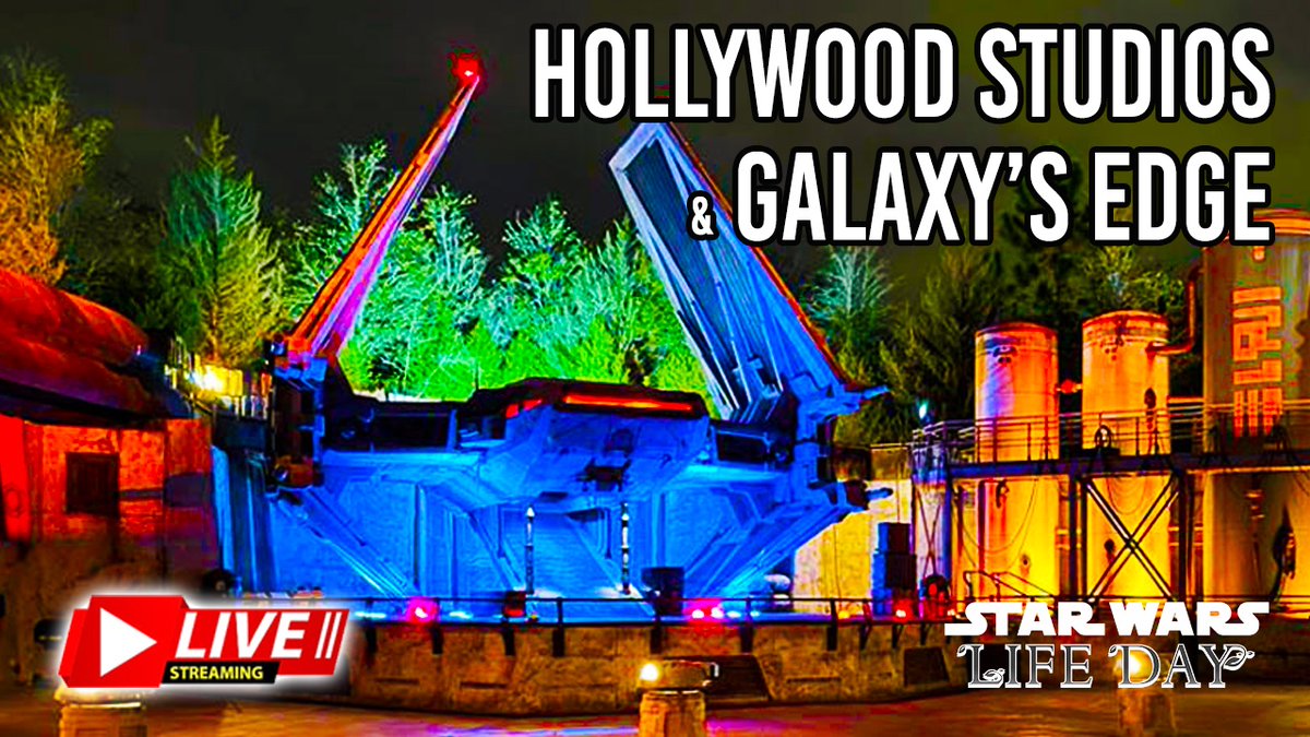 LiveintheMagic tweet media