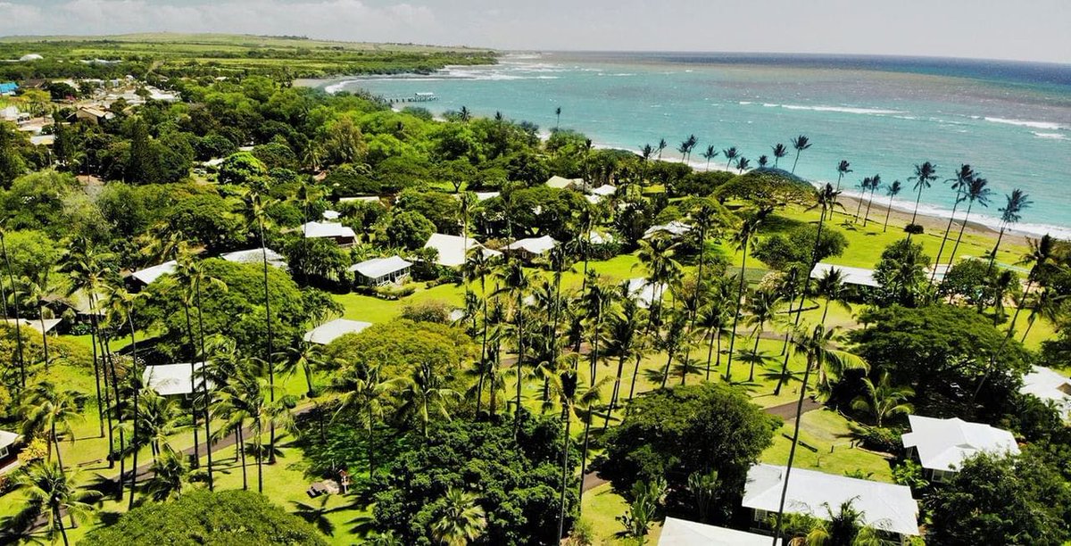 AlohaBruce tweet media